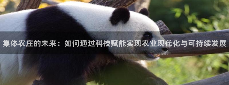 金年会平台是真的吗