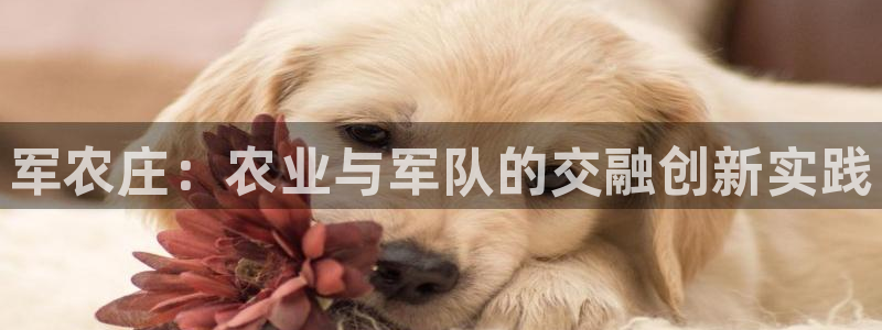 金年会 中国 金年会