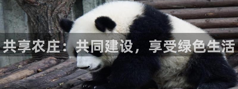 金年会体育平台入口