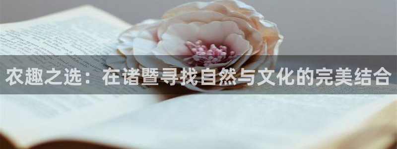 金年会投注官网