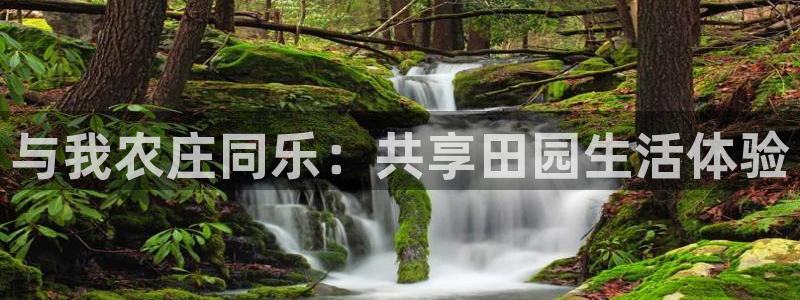 金年会平台
