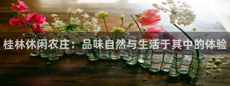 金年会嗨聊app下载
