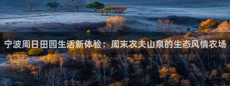 金年会