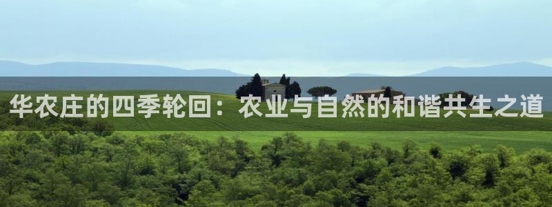 年会金