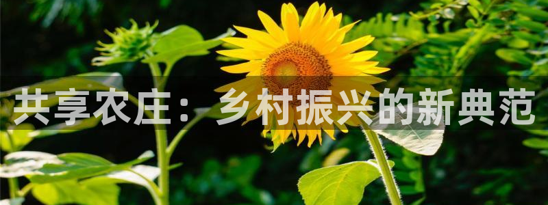 金年会软件之家下载