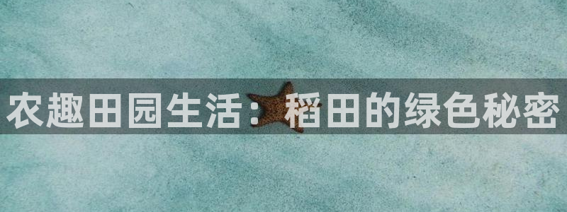 金年会电子游戏app