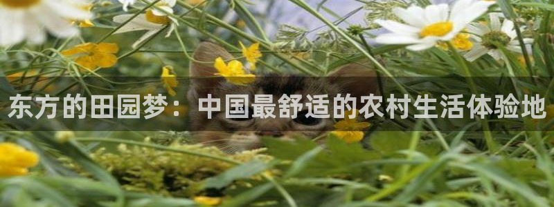 金年会娱乐下载