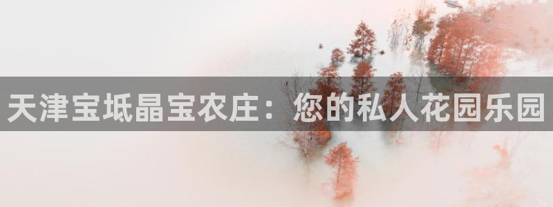 金年会是真的吗