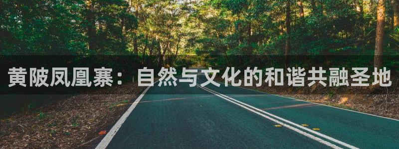 金年会手机登录