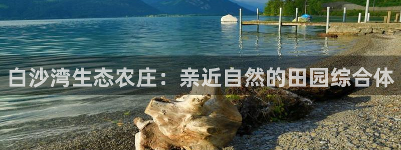 金年会体育官网