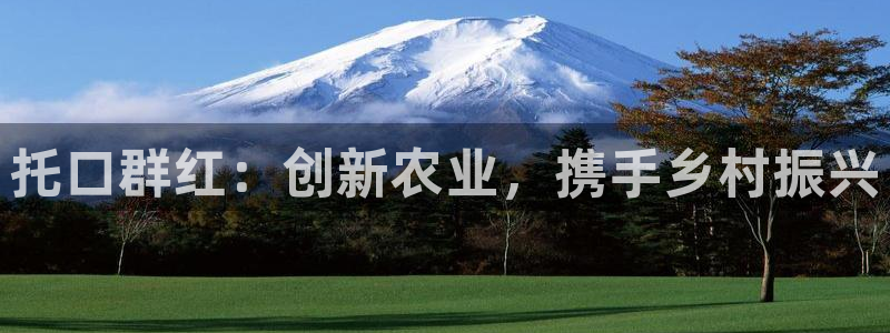 金年会体育官方网站入口