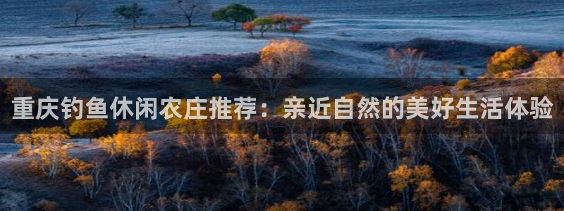 金年会平台包赔