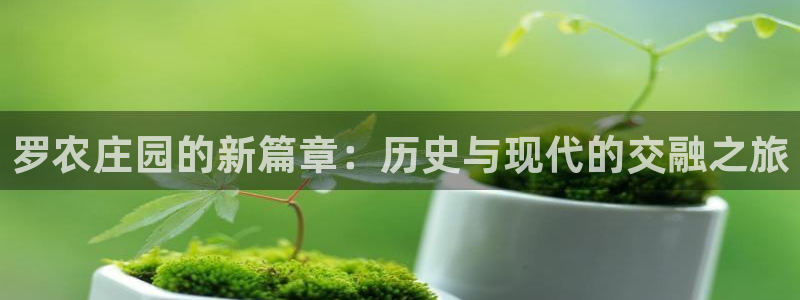 金年会娱乐官网