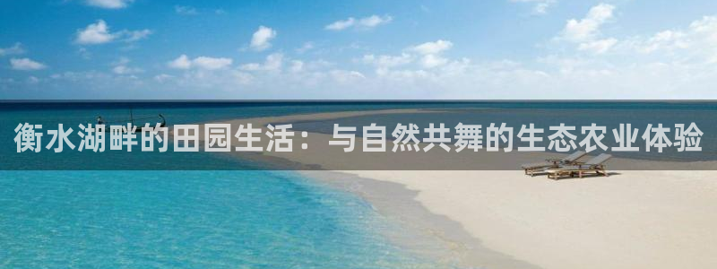 金年会登录平台入口