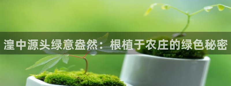 金年会登录平台入口