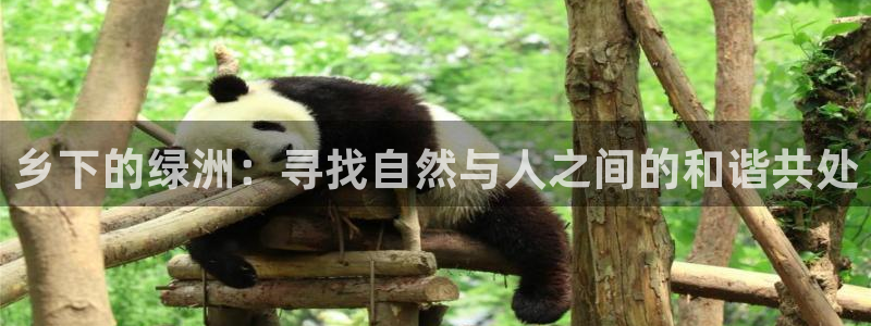 金年会官方网址登录路线