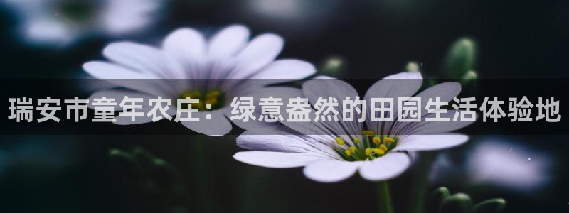 澳门娱乐金年会