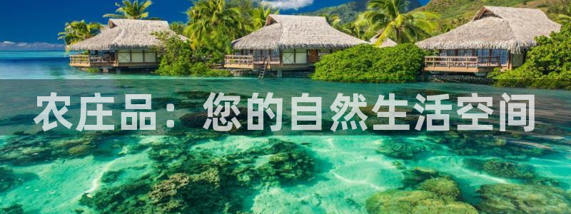 金年会平台是真的吗