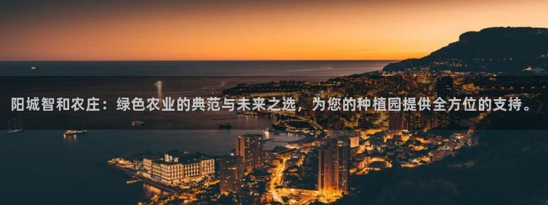 金年会APP安装下载