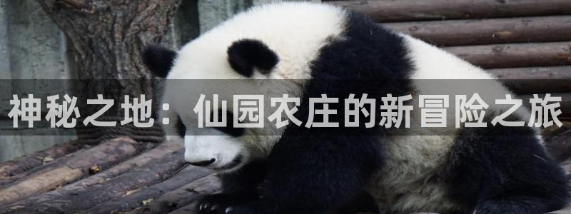 金年会体育官方