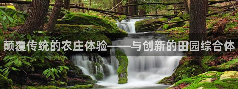 金年会官网地址