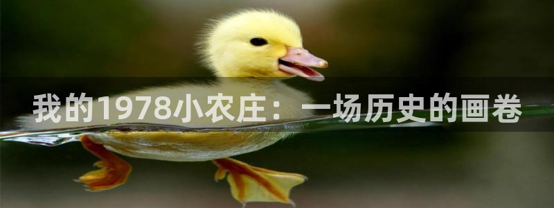 澳门金年会棋牌