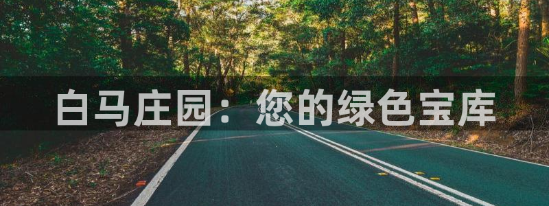 金年会体育平台