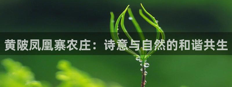 金年会注册官网