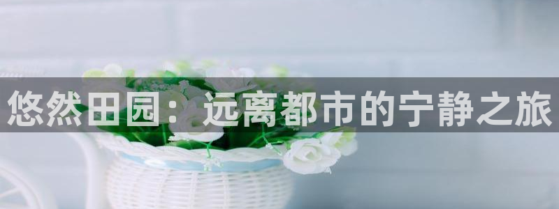 金年会注册官网