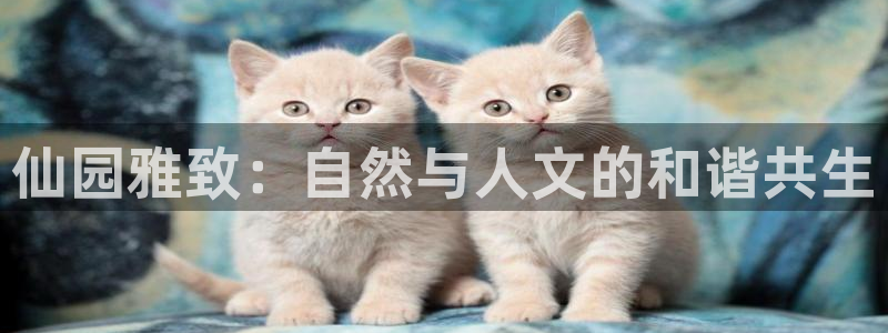 金年会游戏官网