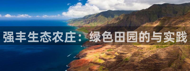 jinnianhui 金年会