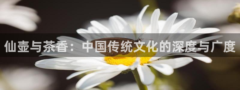澳门与金年会的关系