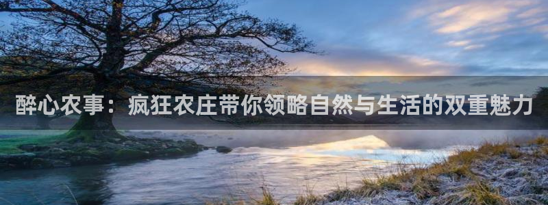 金年会平台出款