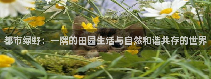 金年会注册官网