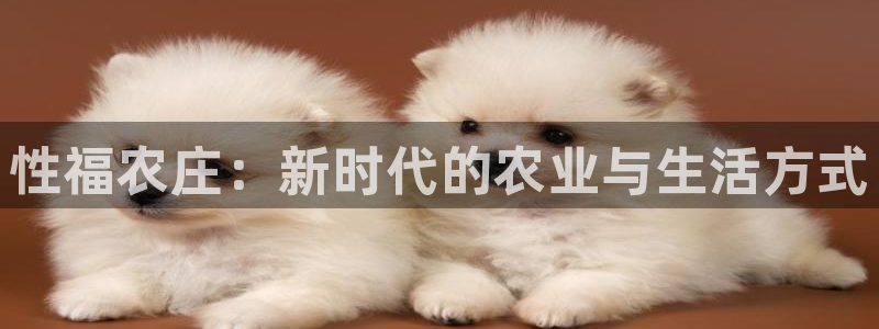 金年会最新下载