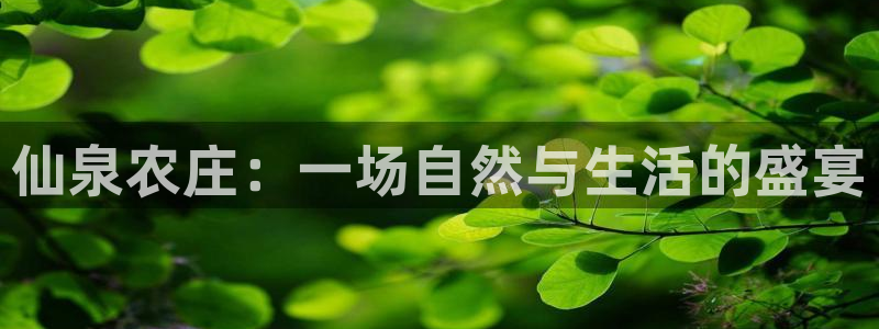 金年会最新登录网站