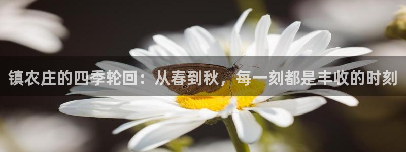 今年会送彩金28