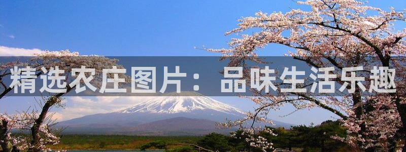 金年会体育app下载