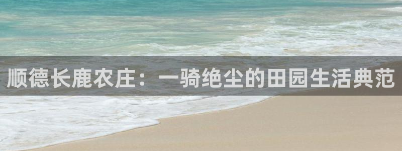 今年会送彩金28