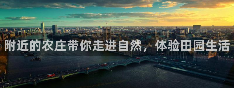 金年会app下载官网