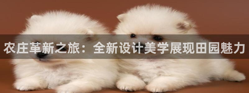 金年会官网地址