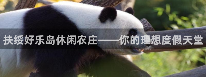 金年会平台登陆