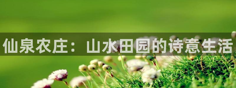 金年会体育官方网站