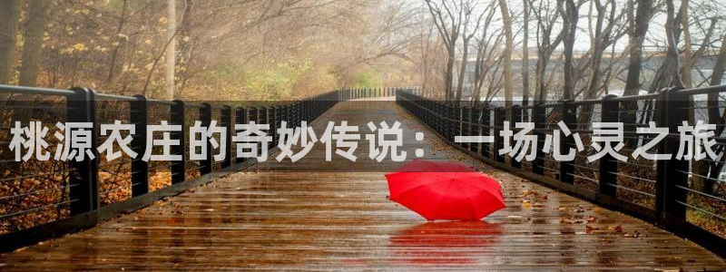 金年会是正规平台吗