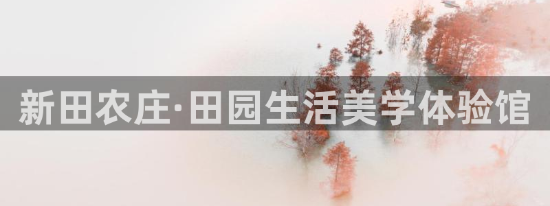 金年会是赌博的吗