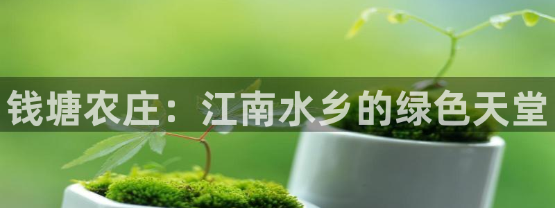 金年会最新官网