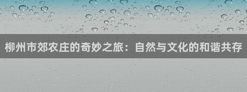 金年会金字招牌至上