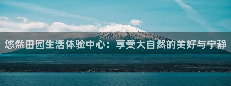 金年会官方网站入口