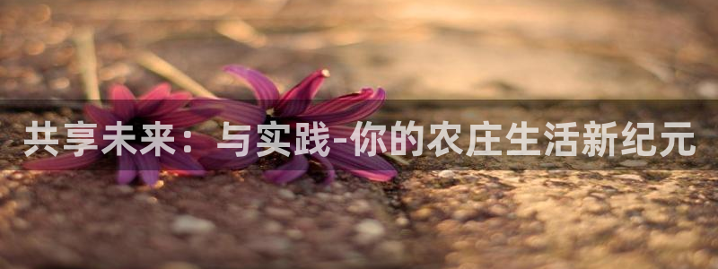 金年会入口网站