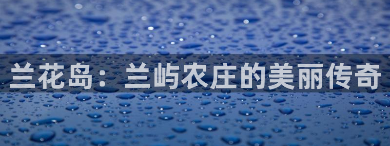 金年会投注官网